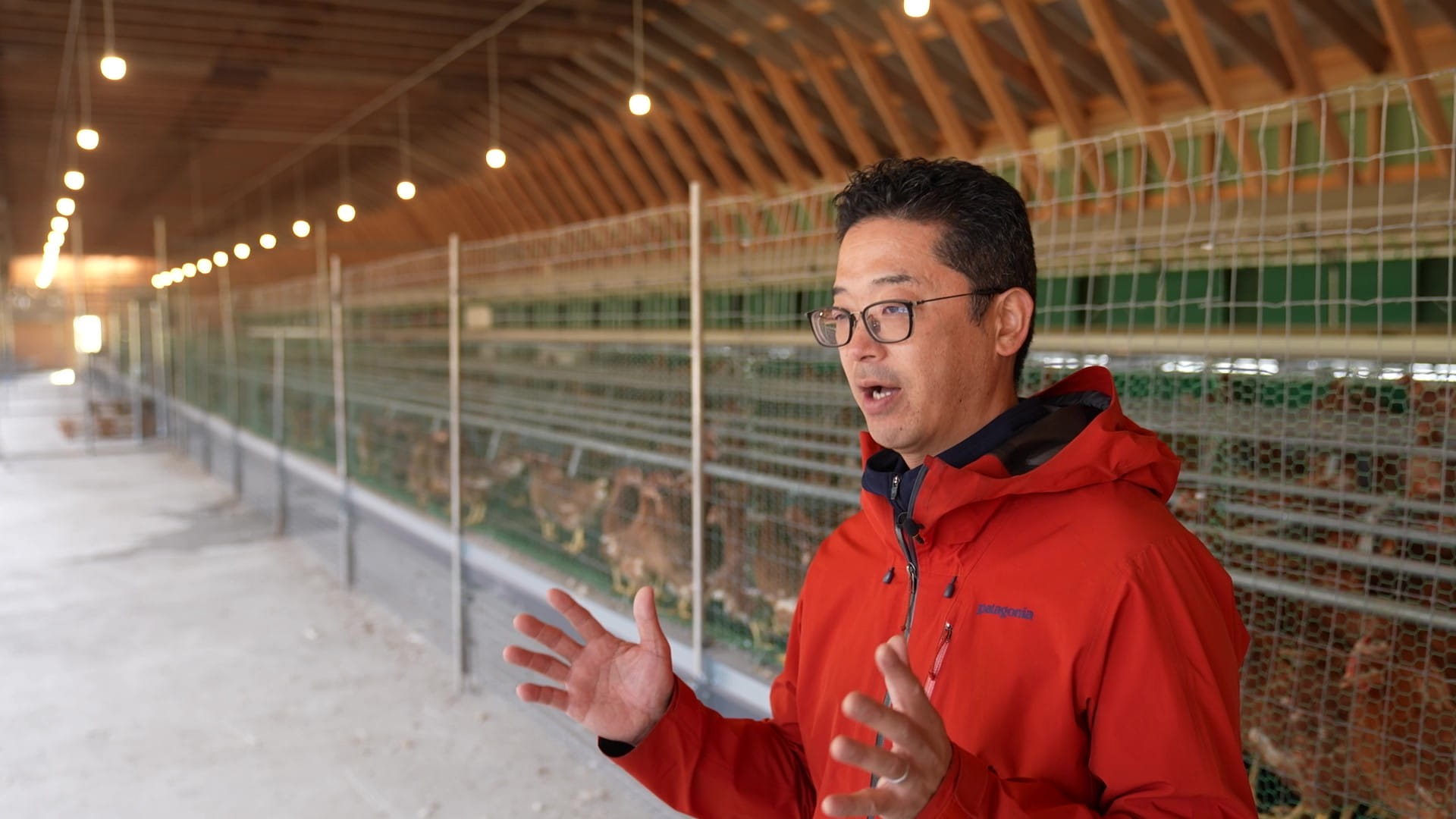 快適な環境下で飼育された高付加価値な有機認証卵の生産へ イメージ