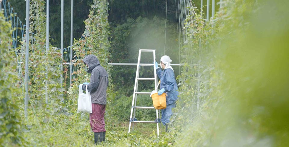 地元農家との連携 イメージ