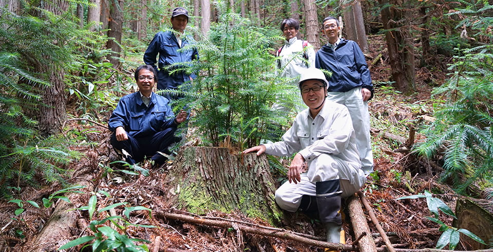 IT化のフロントランナーとして日本の林業に貢献したい イメージ