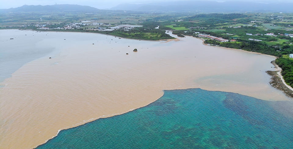 牧草地の管理は、石垣島における牧場経営の根幹にある問題 イメージ