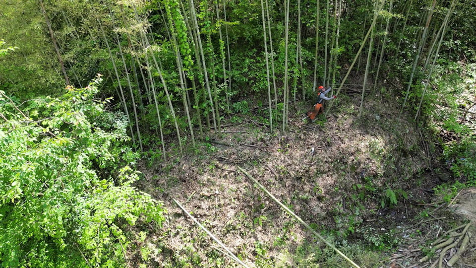 竹林被害の解消に向け、伐採した竹を有効活用する方法を模索 イメージ1