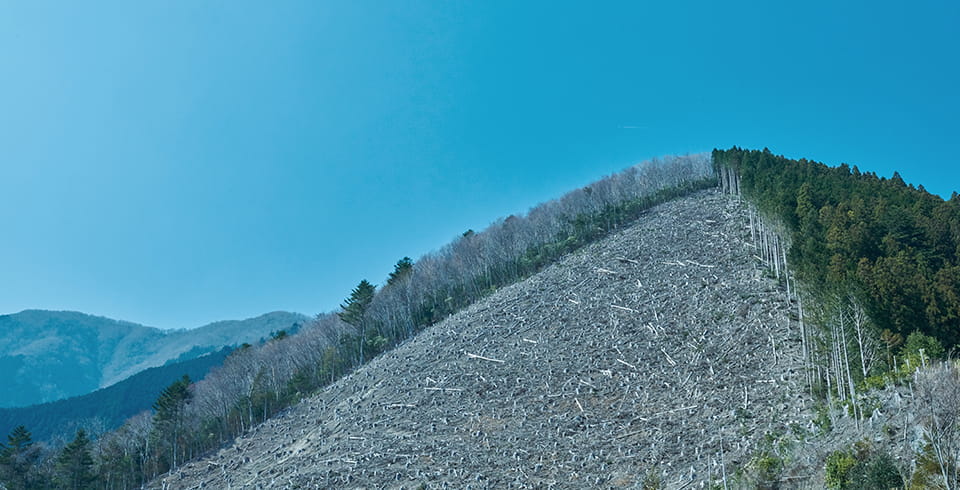 広葉樹林の造成ときのこの生産拡大を通じて地域の雇用を創出したい イメージ