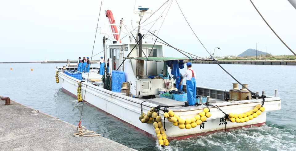 水揚げは順調「地元の魚」は地域を元気にする イメージ