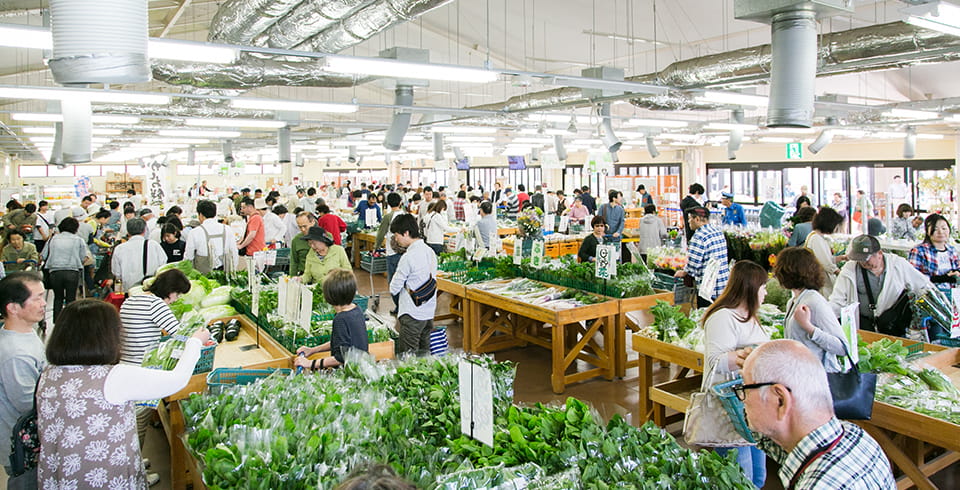 家族連れや大学生、市長も交えた「100人田植え」 イメージ