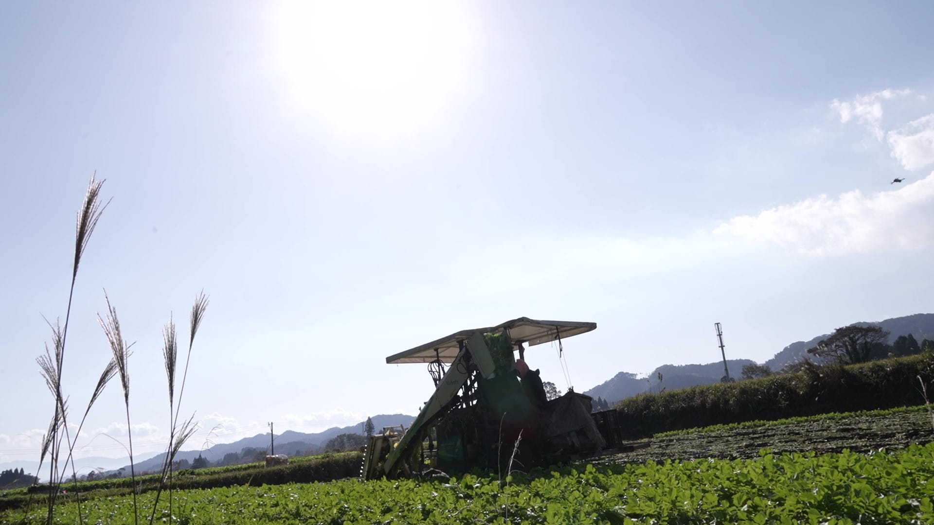 農業DXで地域の生産を支える、飽くなき取り組みは続く イメージ