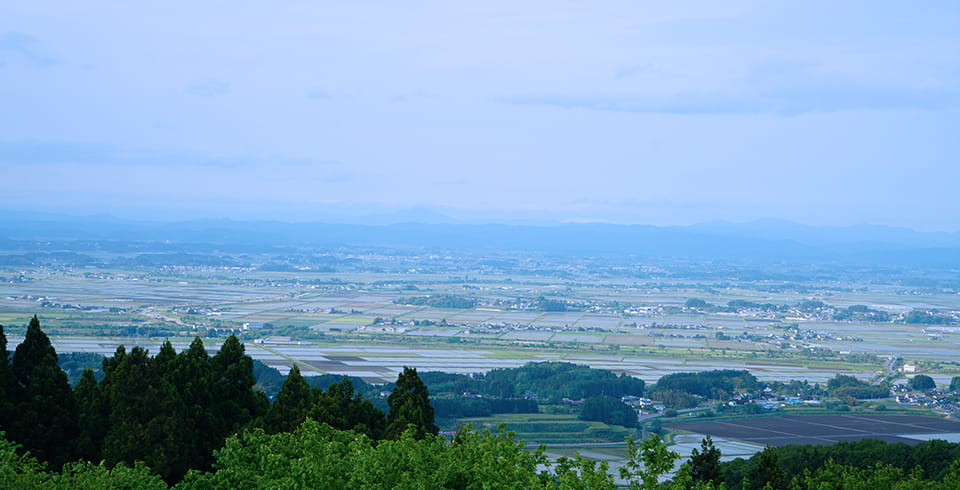 広葉樹林の利活用を推進し、震災被害からの早期脱却を目指す イメージ