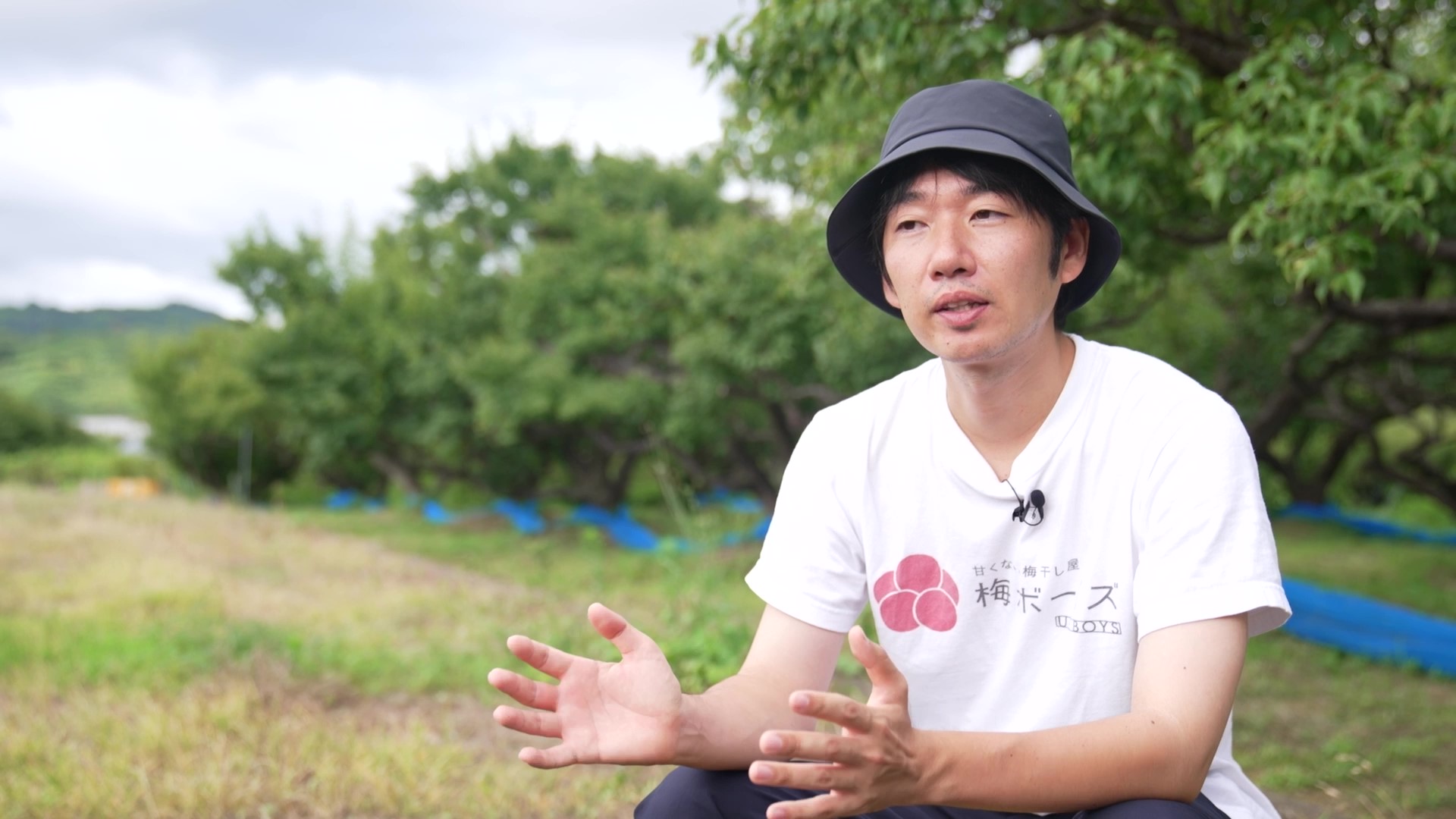 伝統的な梅農法の危機に、若い世代が独自の行動力で立ち向かう