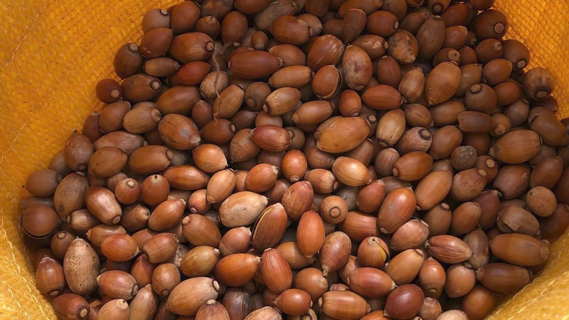 常識にとらわれないアイデアで、農業の未来を変えていく