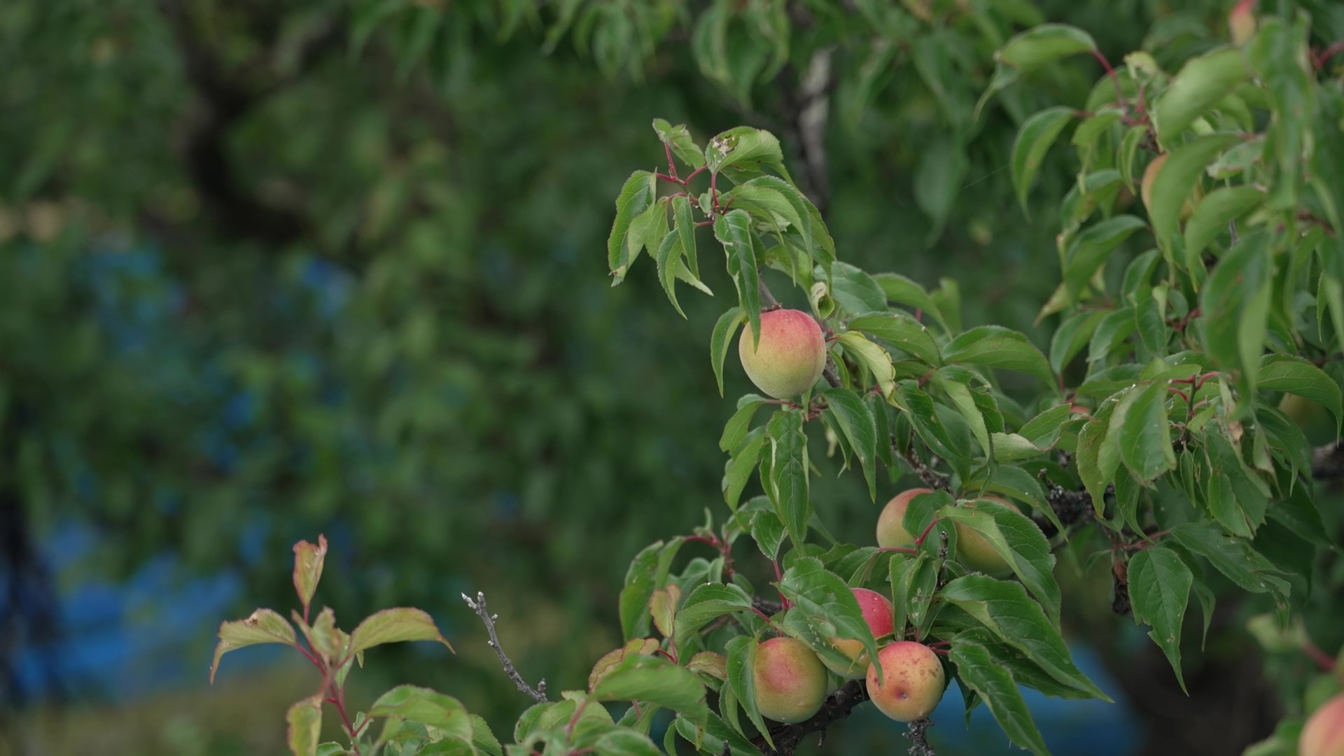 一次産業のあり方を変える、影響力のある規模の企業を目指す