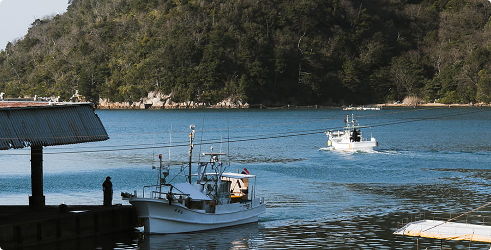 江崎の浜の復活が、県内の漁業全体を勇気づける イメージ