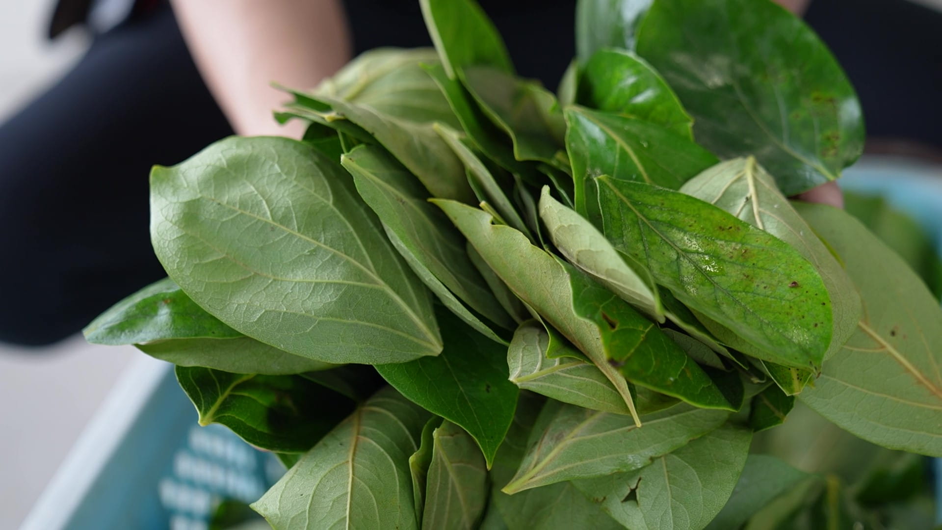 地元ならではの魅力ある雇用の場を、次世代につなぐために