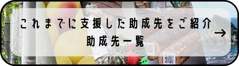 これまでに支援した助成先をご紹介助成先一覧